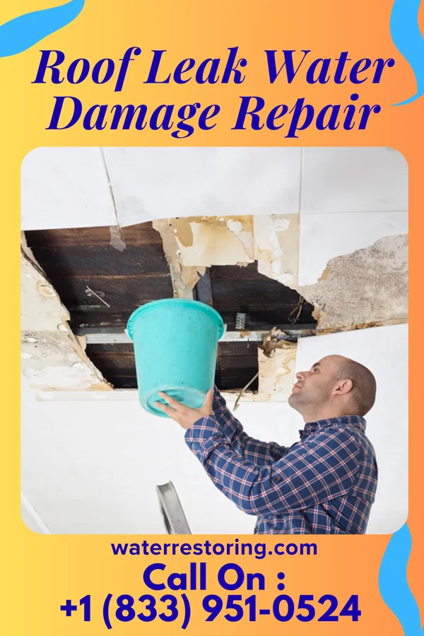Roof Leak Water Damage Repair in Lima, MT